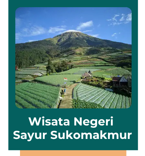 Wisata Negeri Sayur Sukomakmur